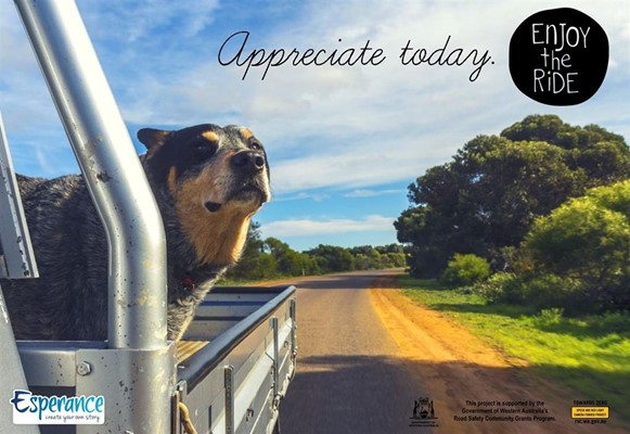 Esperance slow down and enjoy the - Appreciate today poster