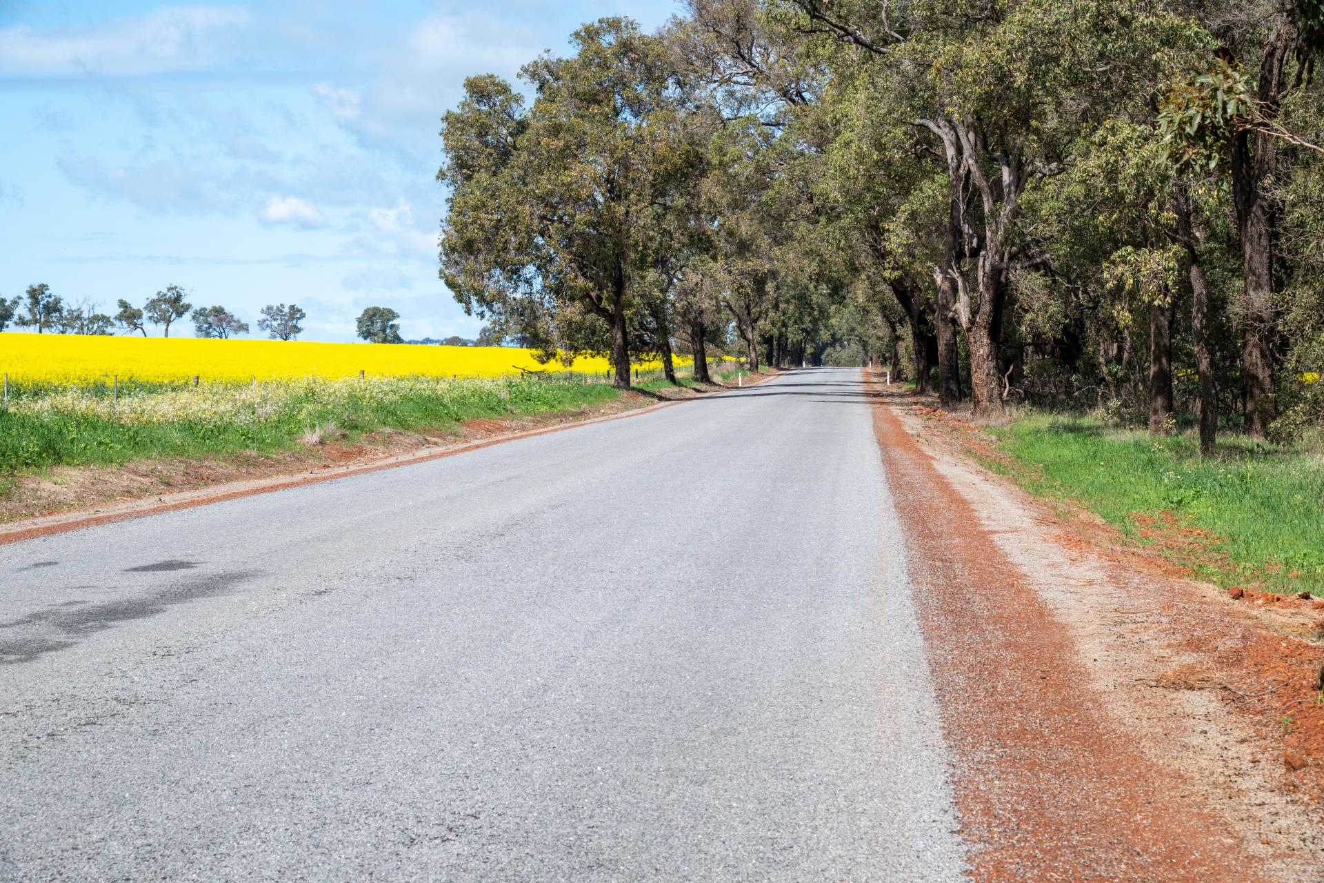 Registrations Open: Research Development for Local Government Workshops